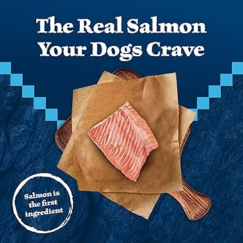 Blue Buffalo Wilderness Trail Treats Salmon Grain-Free Dog Biscuits, 10 oz