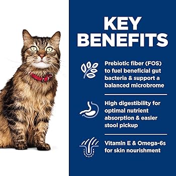 Hill's Science Diet Adult Sensitive Stomach & Skin Chicken Dry Cat Food, 7 lb Bag