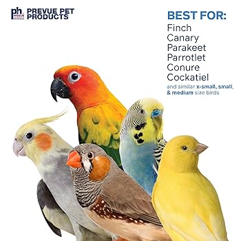 Prevue Pet Playfuls Tug of War Bird Toy 62615 - Physical & Mental Stimulation