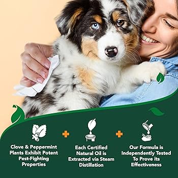 Vet's Best Flea + Tick Wipes for Dogs & Cats - 50 Count - Natural Essential Oils