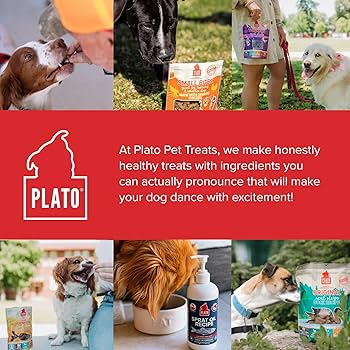 Plato Real Strips Dog Treats - Turkey & Cranberry, Grain Free, 18 oz