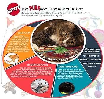Ethical Pets SPOT Elasteeez Mouse & Feathers Cat Toy - 6 Inch, Assorted Colors