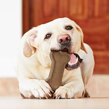 Ethical Pet Spot Dura-Fused Leather Chunky Bone Dog Toy - 6 Inch Durable Chew Toy