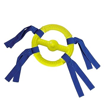 Nylabone Power Play Ring Thing Floatable Dog Toy - Medium Interactive Fetch