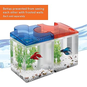 Aqueon Betta Puzzle Aquarium Kit, Blue, 0.5-Gallon Tank - Betta Starter Kit