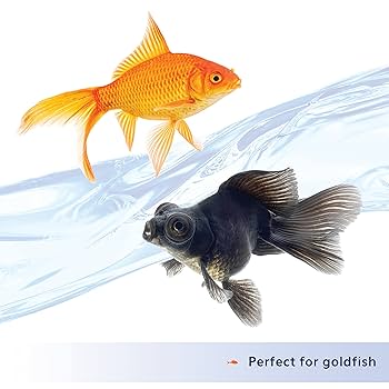 Aqueon Nutrinsect Goldfish Flakes, Fish-Free Food, 1.59 oz