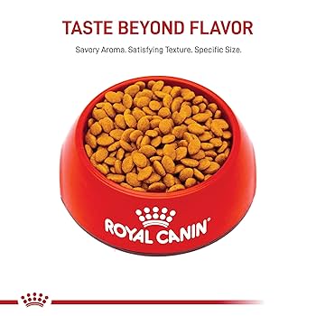 Royal Canin Feline Breed Nutrition Persian Adult Dry Cat Food, 7 lb Bag