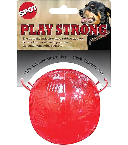 Ethical Pet Play Strong Rubber Ball Dog Toy - 2.5 inch, Small, Red - Durable Chew Toy