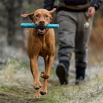 Ruffwear Gnawt-a-Stick Durable Dog Toy - Red, Chew-Resistant Natural Rubber