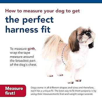 Coastal Li'l Pals Canvas Dog Harness - Red & Grey Plaid - 3/8" x 10-12" - Small Puppy Harness