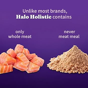 Halo Holistic Cat Food Salmon & Whitefish, Healthy Grains, Adult, 10 lb Bag