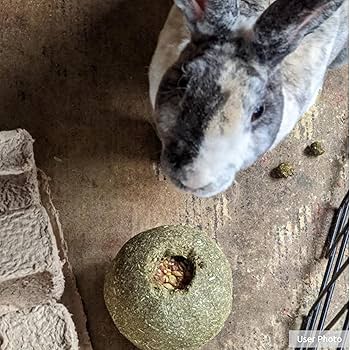 Kaytee Premium Timothy Roll 'n' Toss - Small Animal Treat Toy - Rabbits, Guinea Pigs, Chinchillas