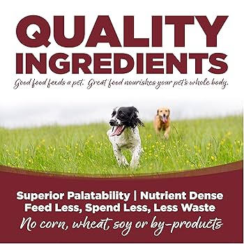 NutriSource Large Breed Beef & Rice Recipe Dry Dog Food - 26 lb Bag