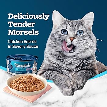 Blue Buffalo Tastefuls Chicken Entree Wet Cat Food, Tender Morsels in Gravy, 3 oz