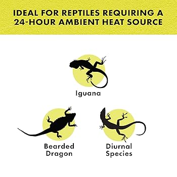 Zilla Night Red Incandescent Spot Bulb - 75W - Reptile Heat Lamp