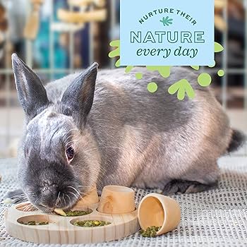 Oxbow Enriched Life Timothy Apple Stick Hay Feeder - Small Animal Toy & Enrichment