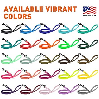 Dogline Biothane Waterproof Dog Leash, Strong Coated Nylon, Odor-Proof, Easy Clean, High Performance, 6 ft (Neon Pink)