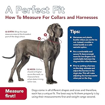 Coastal Inspire Enhanced Core Dog Harness