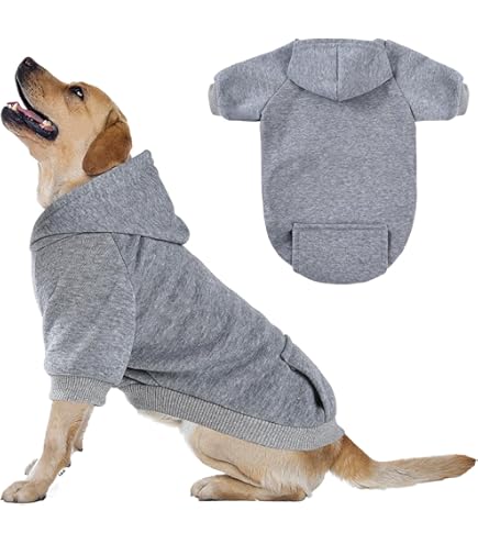 Zack & Zoey Basic Dog Hoodie XXL Raspberry Sorbet