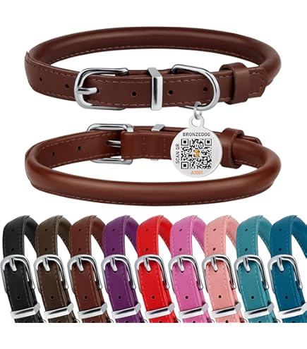 Coastal Pet Circle T Rustic Leather Dog Collar, Slate Gray, 1" x 20"
