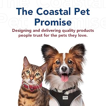 Styles Dog Leash 1 in x 6 ft Plaid Bones - Coastal Pet Products