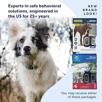 PetSafe Yard & Park 600 Yard Remote Dog Training Collar - PDT00-16120
