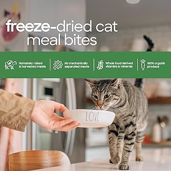 Smallbatch Cat Freeze-Dried Beef Meal Bites, 10 oz - Premium Raw Cat Food