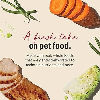 The Honest Kitchen Dehydrated Grain Free Chicken Dog Food - 10 lb Box (Makes 40 lbs) Human Grade Food