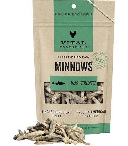 Vital Essentials Freeze-Dried Salmon Bites Cat Treats - 1.1 oz Raw, Grain-Free