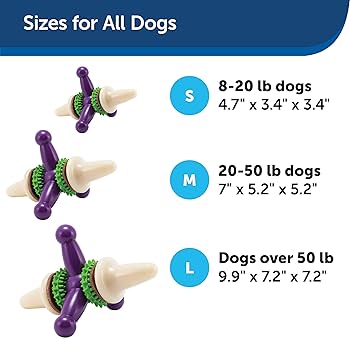 PetSafe Busy Buddy Jack Dog Toy - Medium - Treat Dispensing Chew Toy
