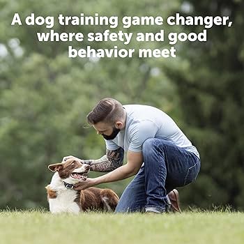 PetSafe Remote Trainer Collar - 100 Yard Range - Dog Training System