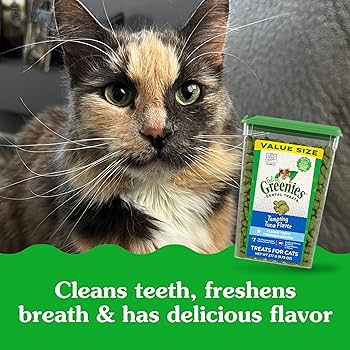 Greenies Feline Dental Treats - Tempting Tuna Flavor - 9.75 oz Tub - Adult Cat Dental Care