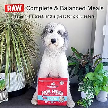 Stella & Chewy's Dandy Lamb Meal Mixers - Freeze-Dried Raw Dog Food Topper - 18 oz