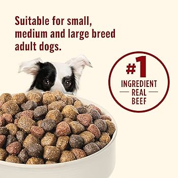 Rachael Ray Nutrish Real Beef, Pea & Brown Rice Recipe Dry Dog Food, 6 lb Bag