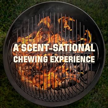 Barkworthies Smoked Chicken Fillet Dog Treats - 4 oz, All Natural Chicken Breast