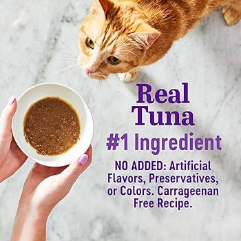 Wellness Appetizing Entrees Flaked Tuna & Tilapia Wet Cat Food, 8 Pouches