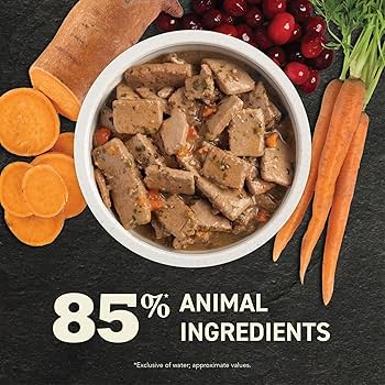 Acana Premium Chunks Pork Recipe in Bone Broth Wet Dog Food, 12.8 oz Can
