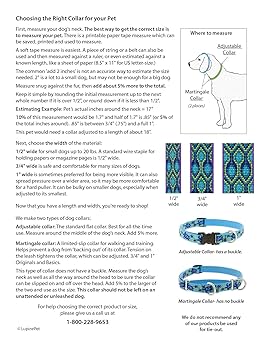 LupinePet Originals 1/2" Turtle Reef Dog Collar, Adjustable 8-12" Small