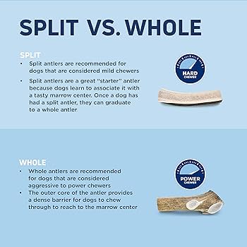 Barkworthies Extra Large Split Elk Antler Dog Chew - Naturally Shed, Long Lasting
