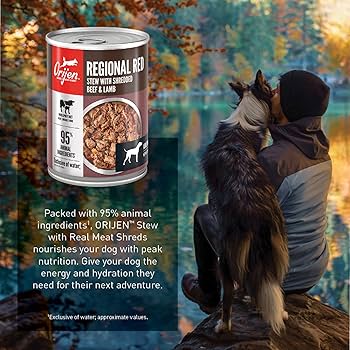 ORIJEN Regional Red Stew Wet Dog Food - Shredded Beef & Lamb, Grain-Free, 12.8 oz Can