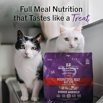 Stella & Chewy's Freeze-Dried Raw Cat Dinner Morsels, Bountiful Beef, 18 oz