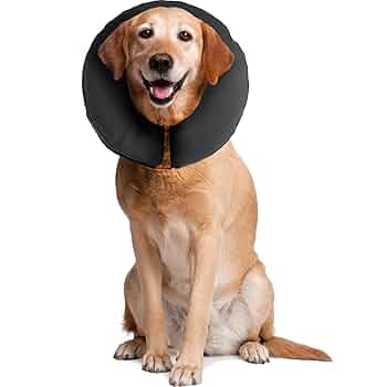 ZenPet ZenCollar Inflatable Recovery Collar for Dogs & Cats - Extra Large
