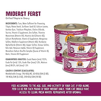 Weruva Classic Cat Mideast Feast Tilapia in Gravy Wet Food, 10oz Can