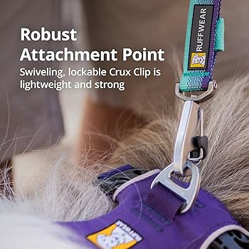 Ruffwear Front Range Short Traffic Dog Leash, 15-inch, Spring Fade