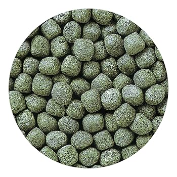 Hikari Cichlid Staple Large Pellets Fish Food 8.8oz (250g) - Economical Daily Diet for Cichlids & Large Tropical Fish