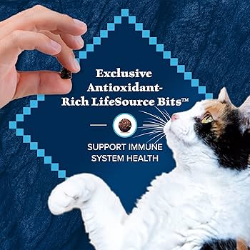 Blue Buffalo Wilderness Indoor Chicken Recipe Adult Dry Cat Food, 11 lbs