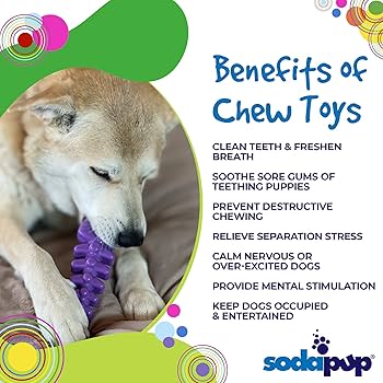 SodaPup Fish Bone Ultra Durable Nylon Dog Chew Toy - Purple