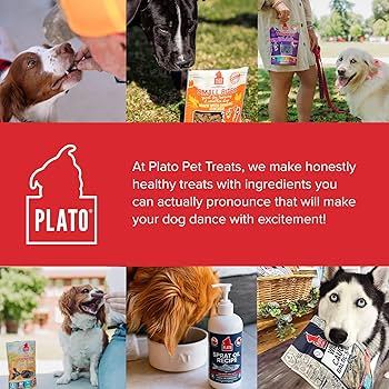 Plato Mini Thinkers Dog Treats - Duck Recipe, Natural, 6oz