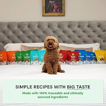 Open Farm Dehydrated Pork Dog Treats, 4.5 oz - High Protein, Grain-Free, Humanely Raised Pork