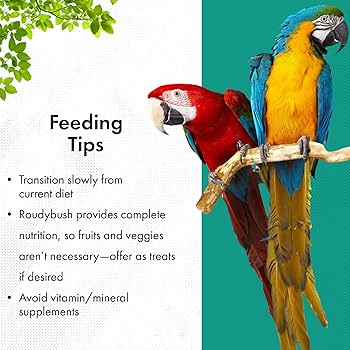 Roudybush Daily Maintenance Crumble Bird Food - 10 lb Bag, Nutritionally Complete